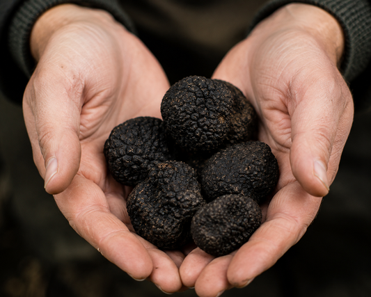 Fresh Truffle